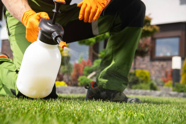 Best Insect Control  in Desert Hot Springs, CA