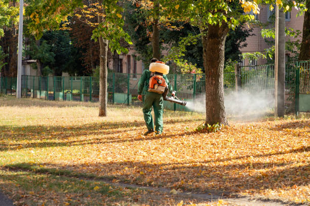 Best Mosquito Control Services  in Desert Hot Springs, CA